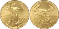 1 Oz American Eagle 1 Oz American Eagle