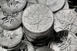 20x 1 Oz Maple Leaf div. - AKTION